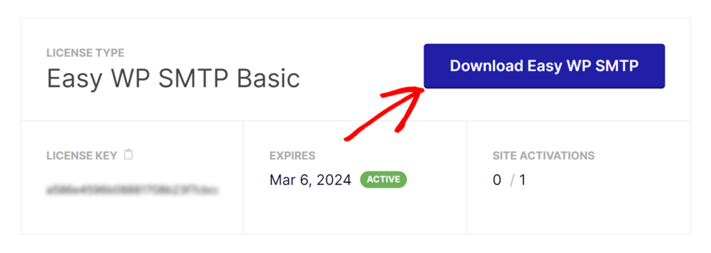 Download Easy WP SMTP button
