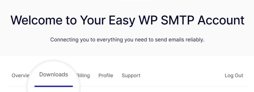 Easy WP SMTP Account Downloads