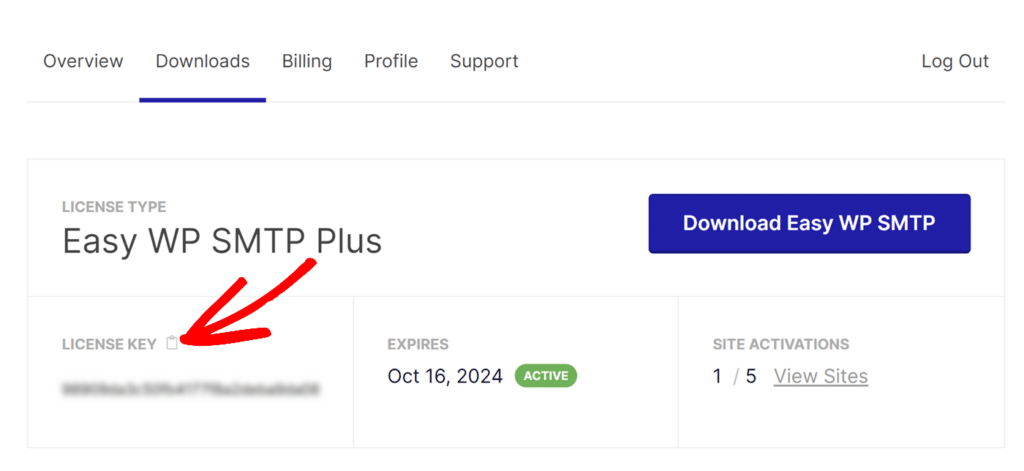 Copy Easy WP SMTP license key