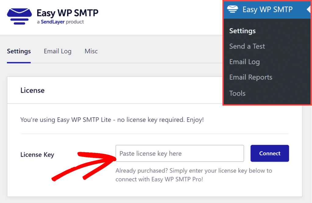 Paste license key