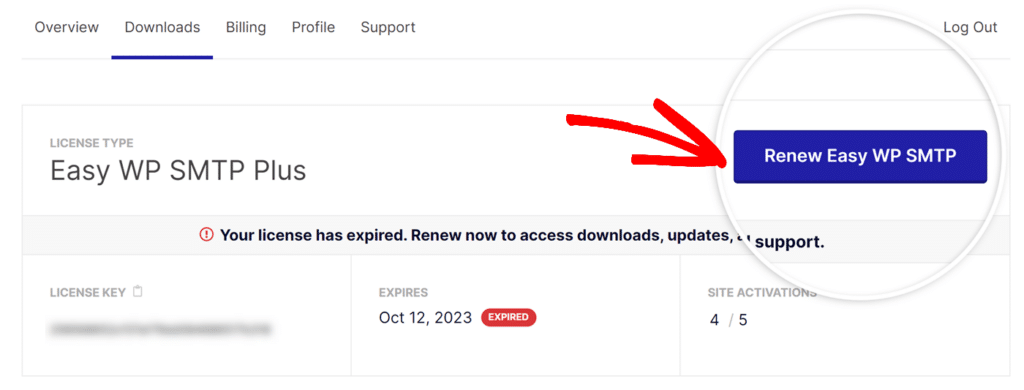 Renew Easy WP SMTP button in Downloads page