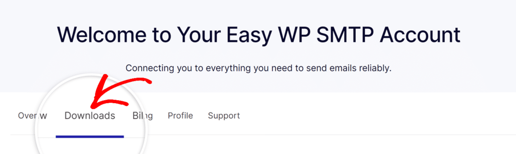 Click on Downloads from Easy WP SMTP account