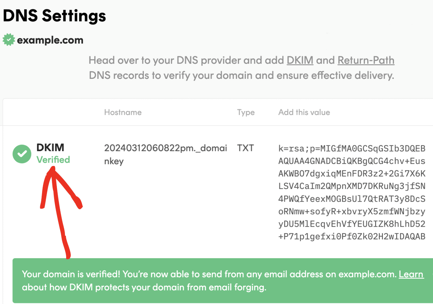 Verified domain and DNS records