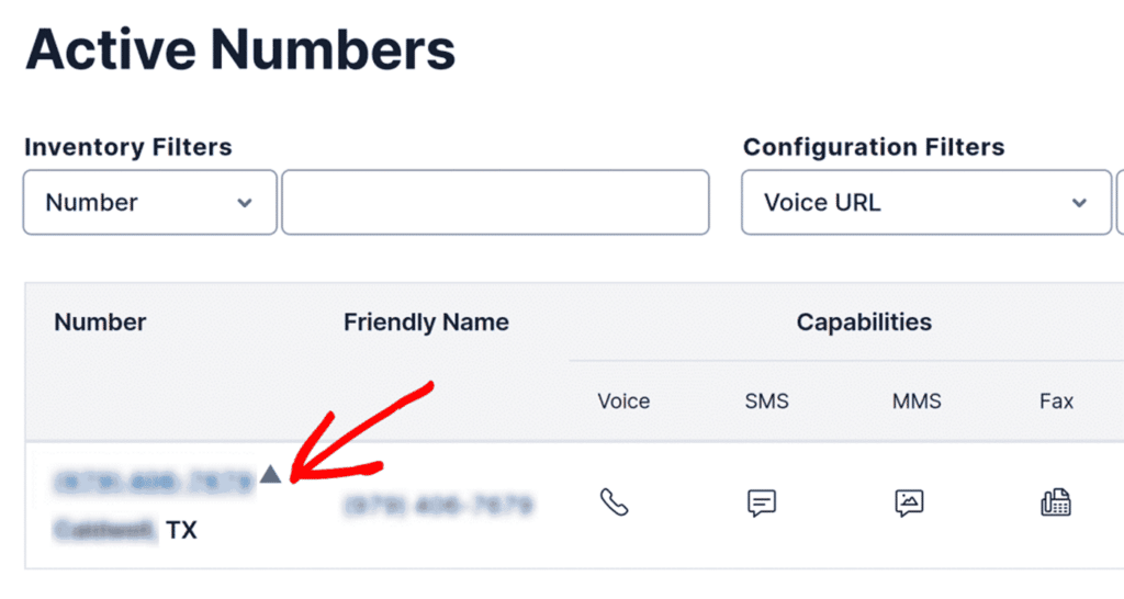 Twilio active numbers listed