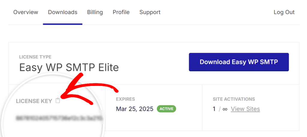 Copy Easy WP SMTP license key