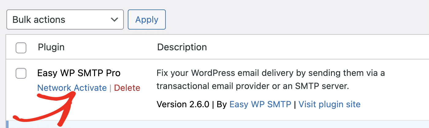 Activating Easy WP SMTP on the network level from the Plugins screen