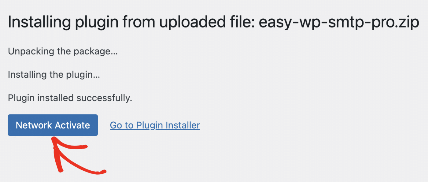 Activating Easy WP SMTP at the network level after installing it