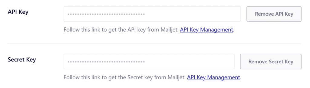 Paste Mailjet API Keys to Easy WP SMTP 