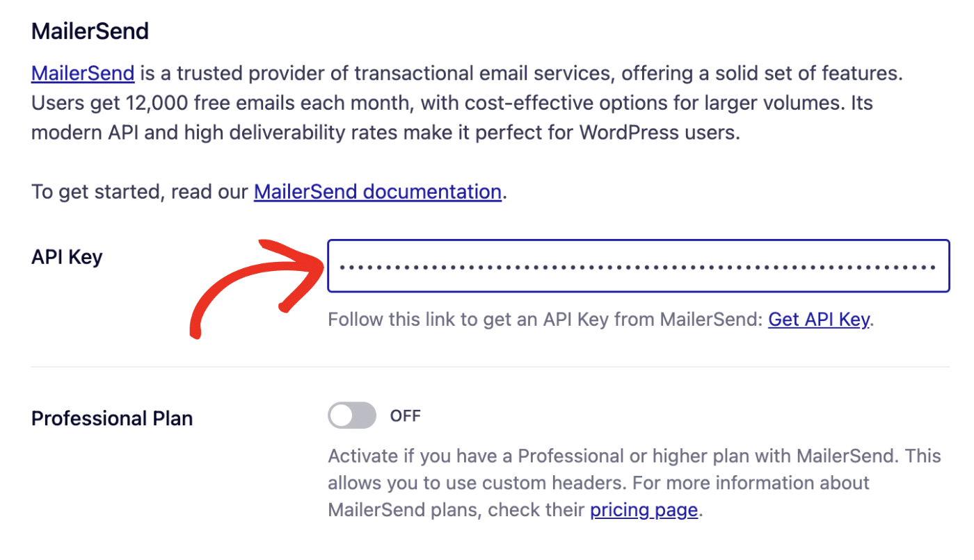Paste MailerSend API Key