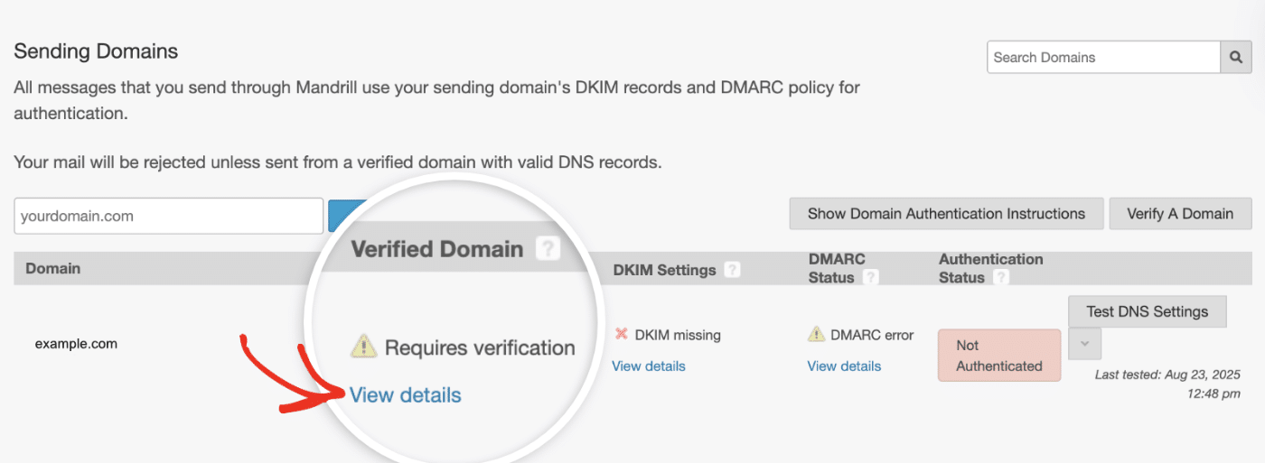 Domain verification record