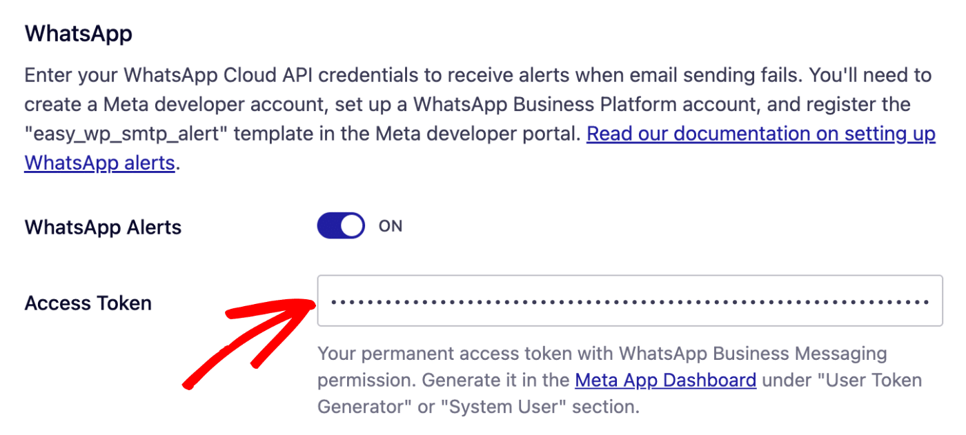 Paste access token
