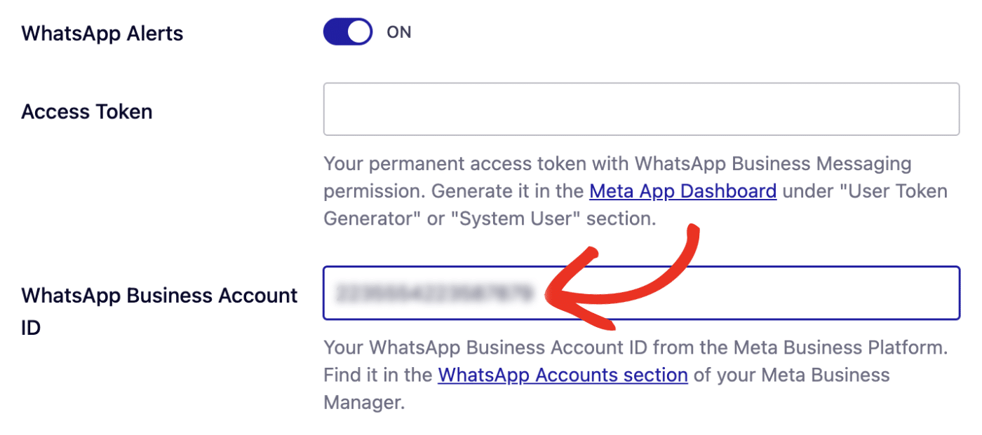 WhatsApp Business ID field in Easy WP SMTP