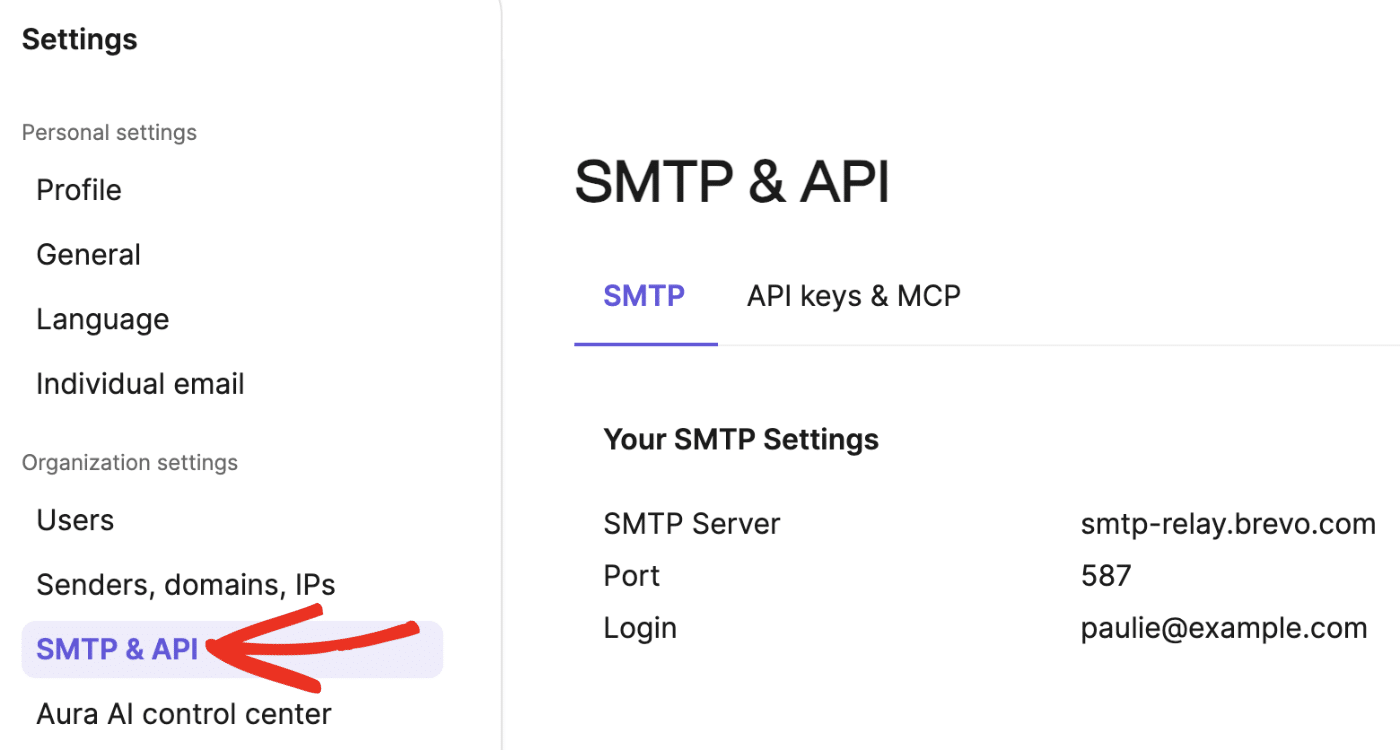 SMTP & API option in Brevo